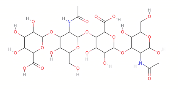 The Importance of High Molecular Weight Hyaluronic Acid