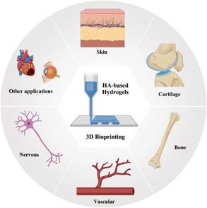 Innovative Applications of Hyaluronic Acid in 3D Printing