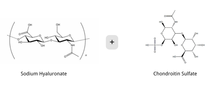 Sodium Hyaluronate with Chondroitin Sulfate